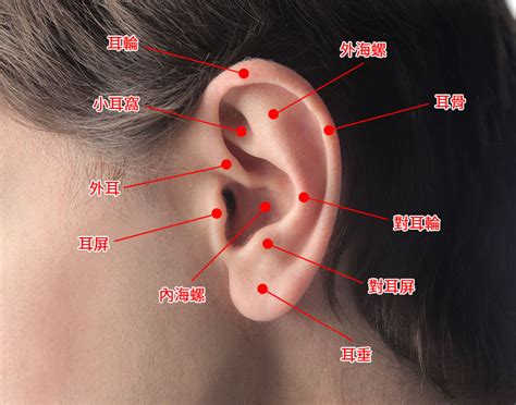 特殊 耳 洞